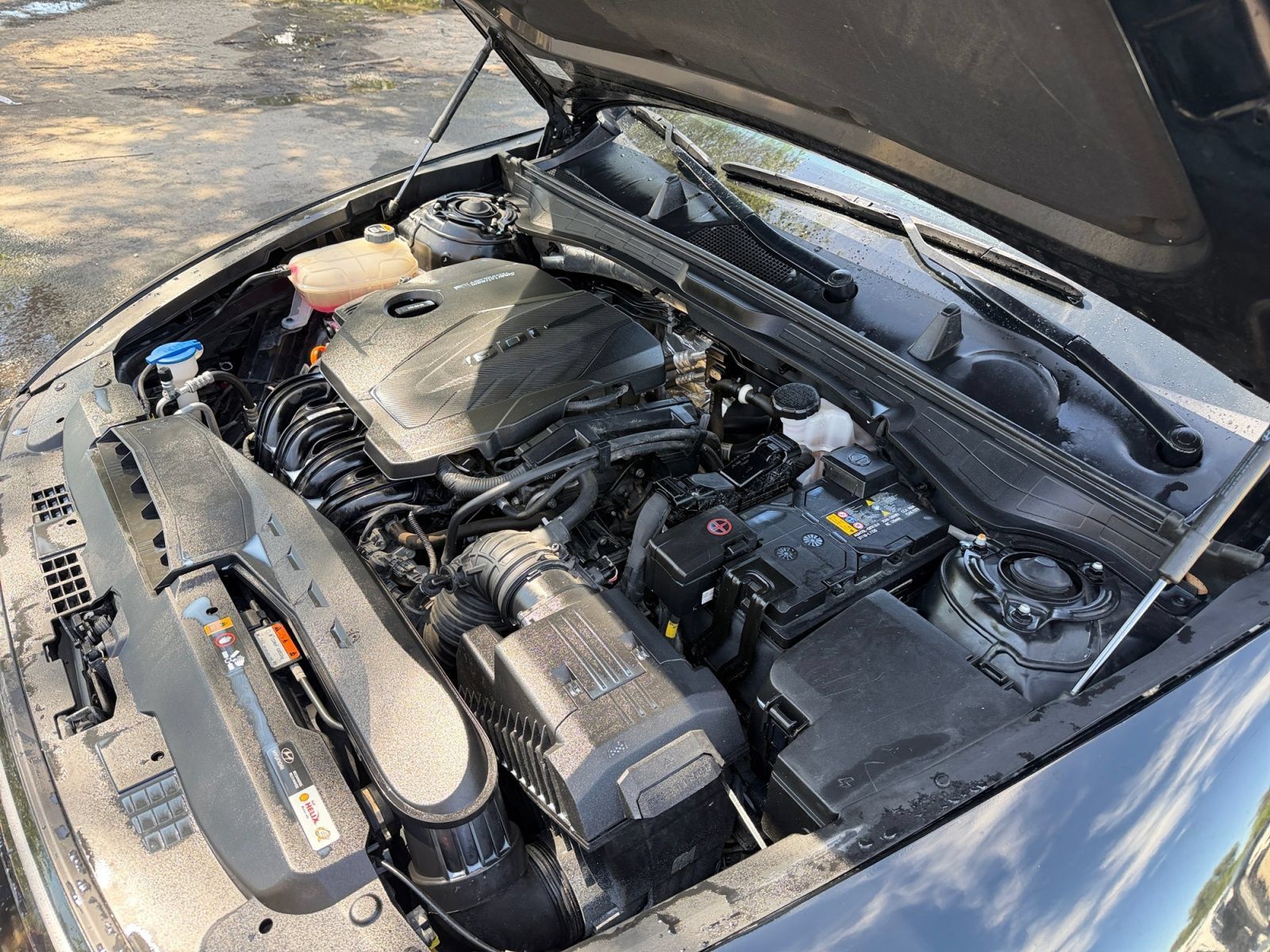 Used 2024 Hyundai Sonata SEL FWD image 33