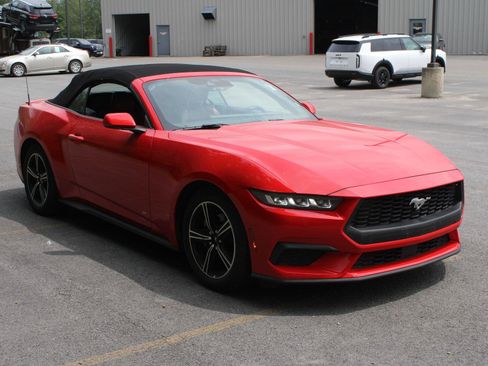 Used 2024 Ford Mustang Premium RWD image 3