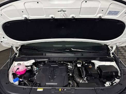 New 2026 Kia Carnival image 31