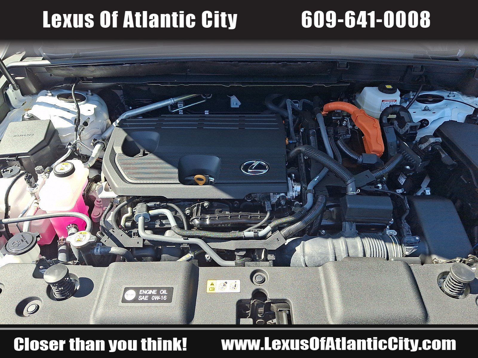 Used 2026 Lexus NX 350h AWD w/ Cold Area Package image 29