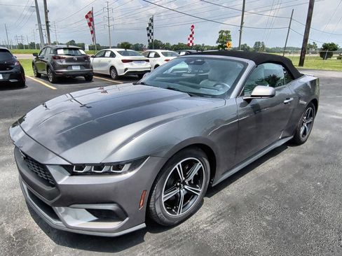 Used 2024 Ford Mustang Premium RWD image 1