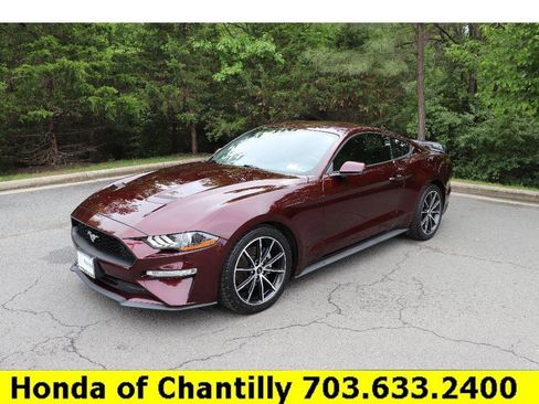 Used 2018 Ford Mustang Premium w/ Equipment Group 201A RWD image 3