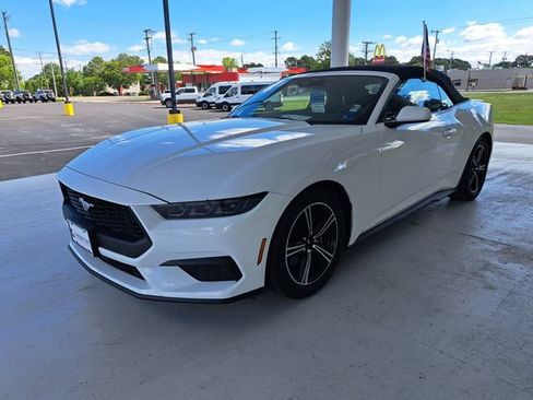 Used 2025 Ford Mustang Premium RWD image 3