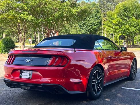 Used 2019 Ford Mustang Premium RWD image 5