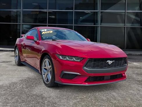 Used 2024 Ford Mustang Premium RWD image 1