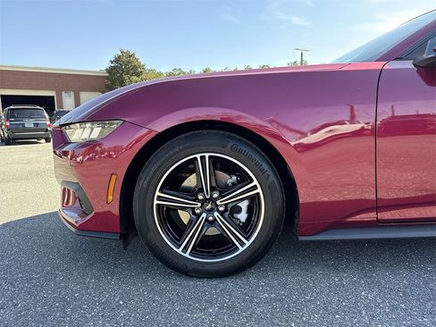 Used 2025 Ford Mustang Premium image 10