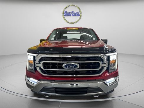 Used 2021 Ford F150 XLT w/ Equipment Group 302A High AWD/4WD image 8