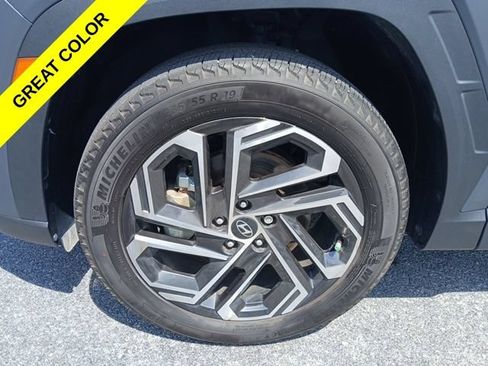 Used 2025 Hyundai Tucson Limited AWD/4WD image 2