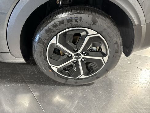 Certified 2025 Kia Niro EX image 12