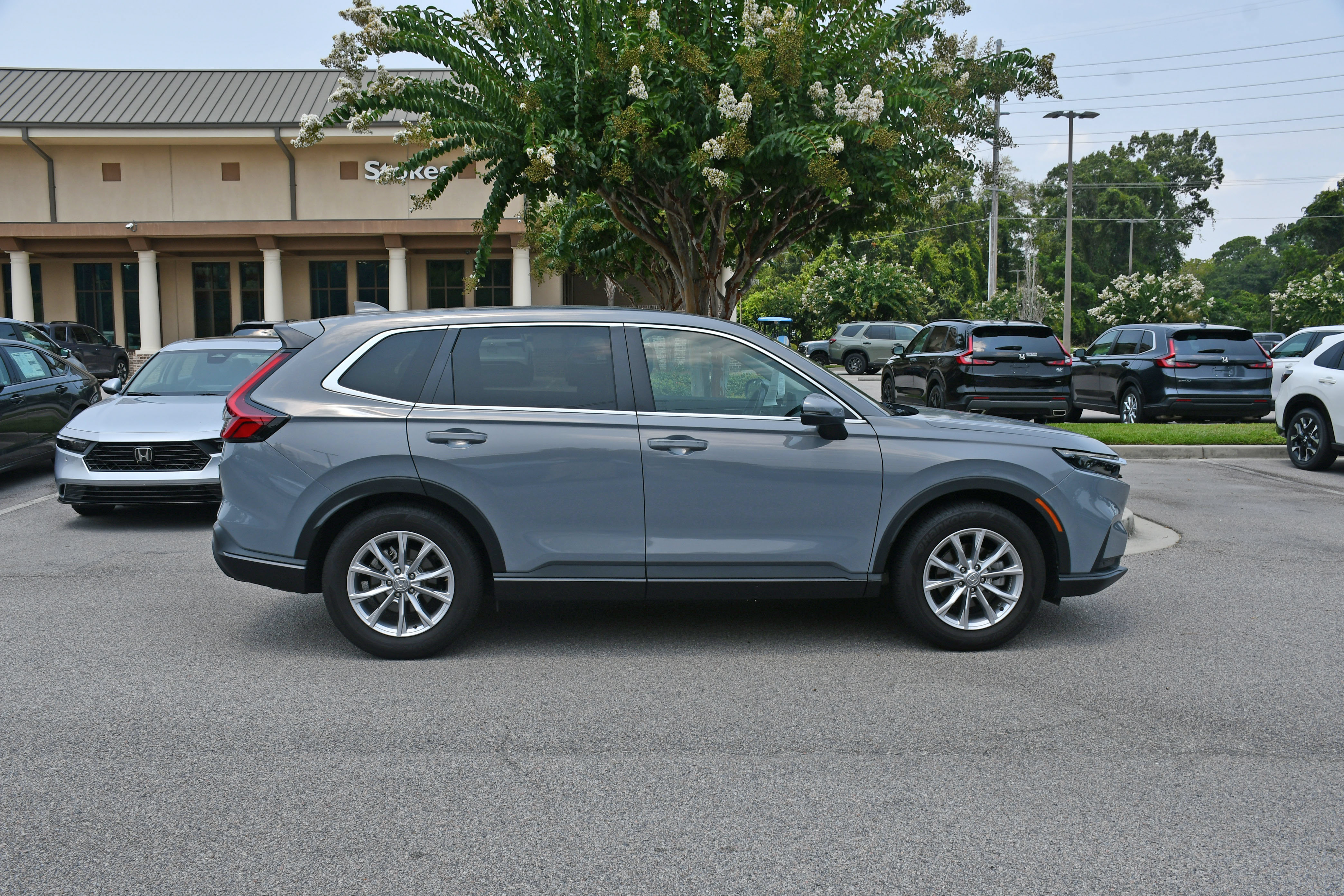 Used 2025 Honda CR-V EX-L image 5