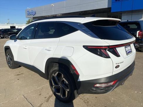 New 2024 Hyundai Tucson Limited image 5