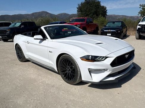 Used 2019 Ford Mustang GT Premium w/ GT Performance Package RWD image 3