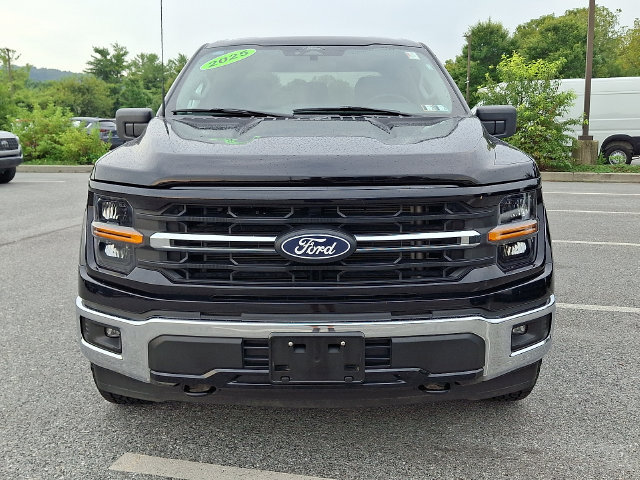 Used 2025 Ford F150 XLT w/ Equipment Group 301A Standard AWD/4WD image 2