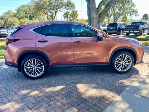 Used 2025 Lexus NX 350 AWD w/ Luxury Package image 7