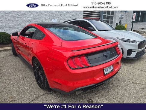 Used 2019 Ford Mustang Coupe w/ Equipment Group 101A RWD image 6