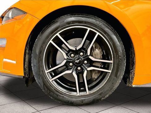 Used 2019 Ford Mustang GT Premium w/ Equipment Group 401A RWD image 8