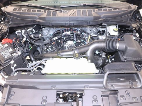 New 2025 Ford F150 XLT w/ Equipment Group 303A High image 33