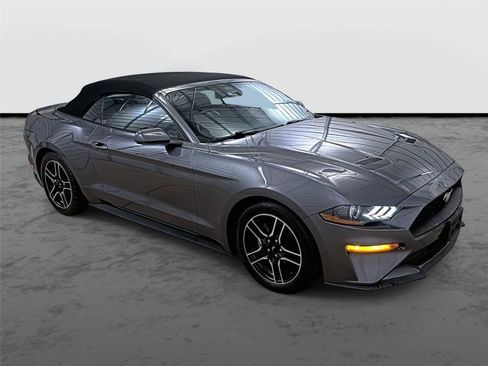 Used 2021 Ford Mustang Premium image 5