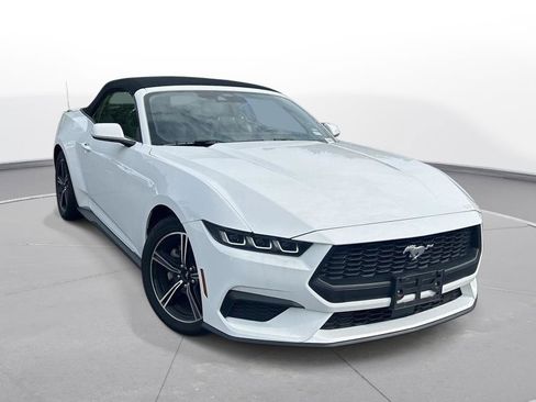 Used 2025 Ford Mustang Premium RWD image 4