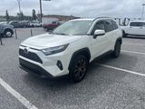Used 2022 Toyota RAV4 XLE Premium image 4