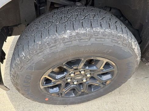 Used 2025 Ford F150 XLT w/ Equipment Group 301A Standard AWD/4WD image 2