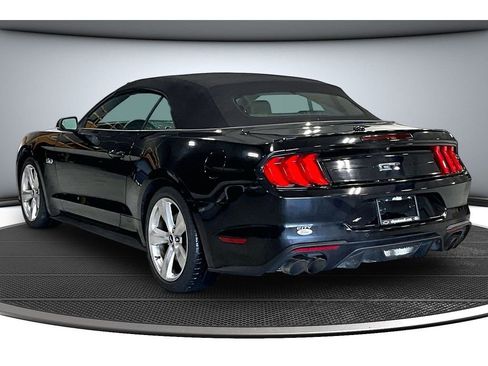 Used 2019 Ford Mustang GT Premium w/ Equipment Group 401A RWD image 14