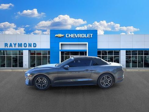 Used 2019 Ford Mustang Premium RWD image 6