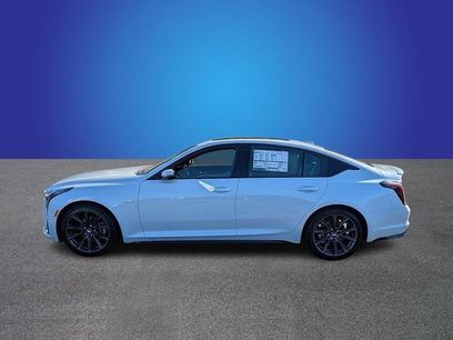 New 2026 Cadillac CT5 Sport w/ Sun And Sound Package