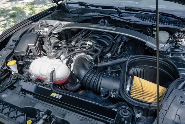 Used 2015 Ford Mustang Shelby GT350 RWD image 19