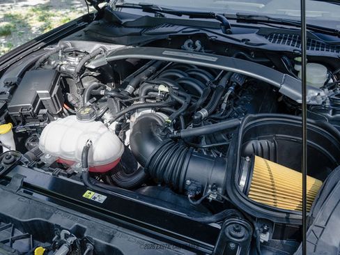 Used 2015 Ford Mustang Shelby GT350 RWD image 19