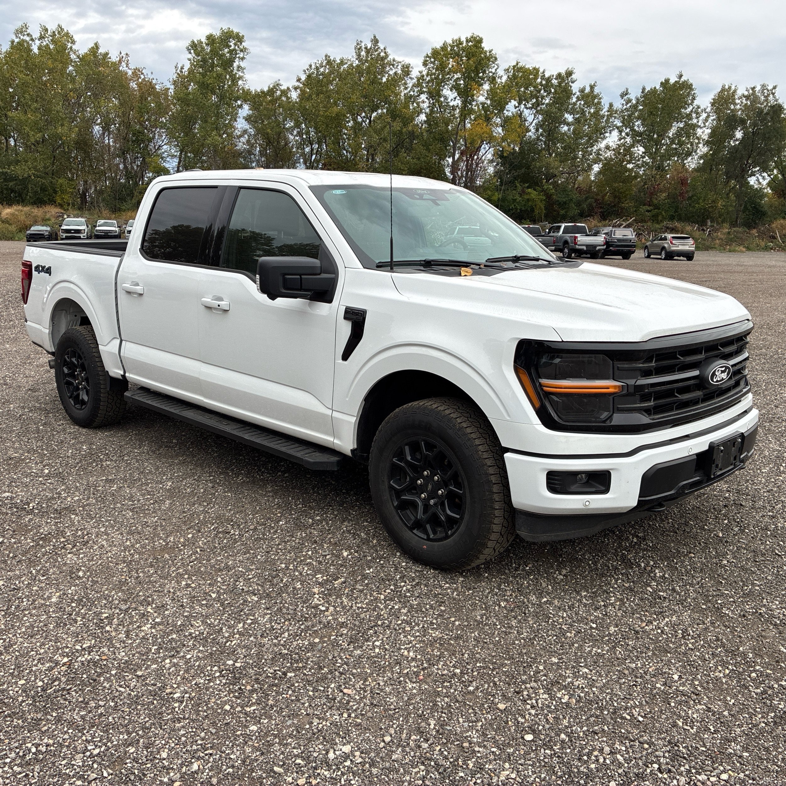 Used 2024 Ford F150 XLT w/ Equipment Group 302A MID AWD/4WD image 3