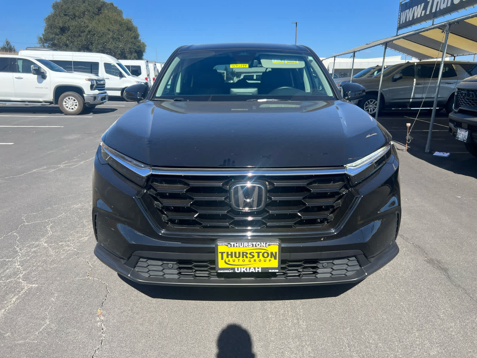 Used 2025 Honda CR-V EX-L image 4