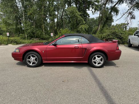 Used 2003 Ford Mustang Convertible RWD image 2