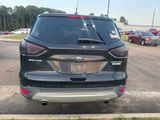 Used 2015 Ford Escape Titanium w/ Equipment Group 301A image 5