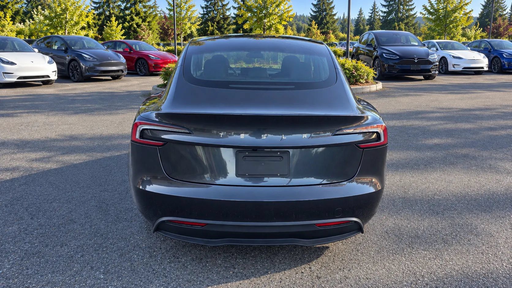 Used 2025 Tesla Model 3 Long Range RWD image 6