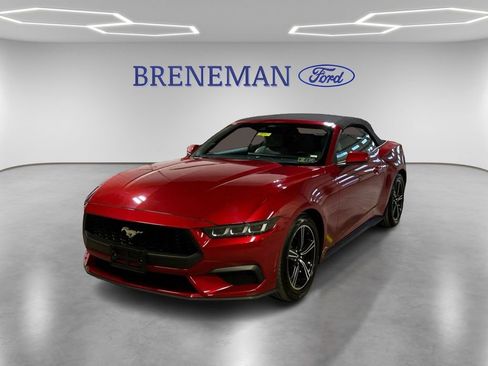 Used 2024 Ford Mustang Premium image 1