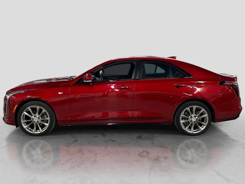 Used 2023 Cadillac CT4 Sport AWD/4WD image 2