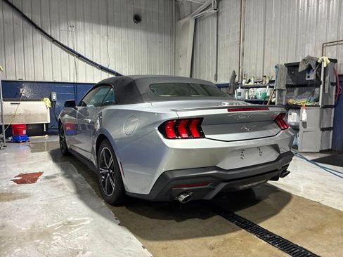Used 2024 Ford Mustang Premium RWD image 13