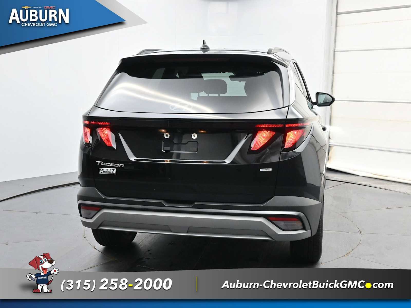 Used 2025 Hyundai Tucson SEL AWD/4WD image 4