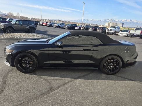 Used 2017 Ford Mustang Premium image 7