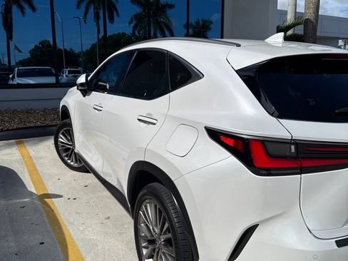 Used 2025 Lexus NX 350h AWD w/ Accessory Package (Z2) image 7