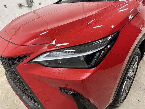 Used 2025 Lexus NX 350h AWD w/ Cold Area Package image 6
