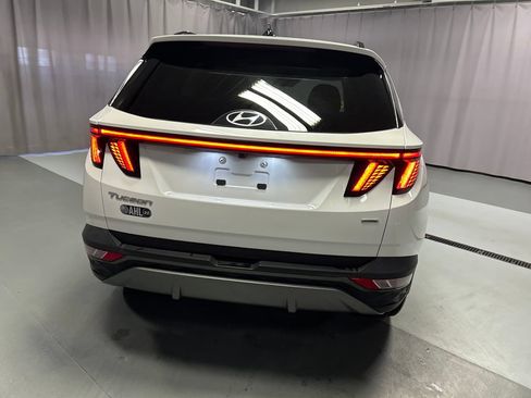 Used 2023 Hyundai Tucson Limited AWD/4WD image 6