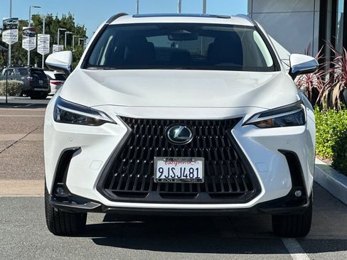 Used 2024 Lexus NX 350h AWD image 6