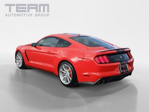 Used 2016 Ford Mustang Shelby GT350 w/ Technology Package image 5