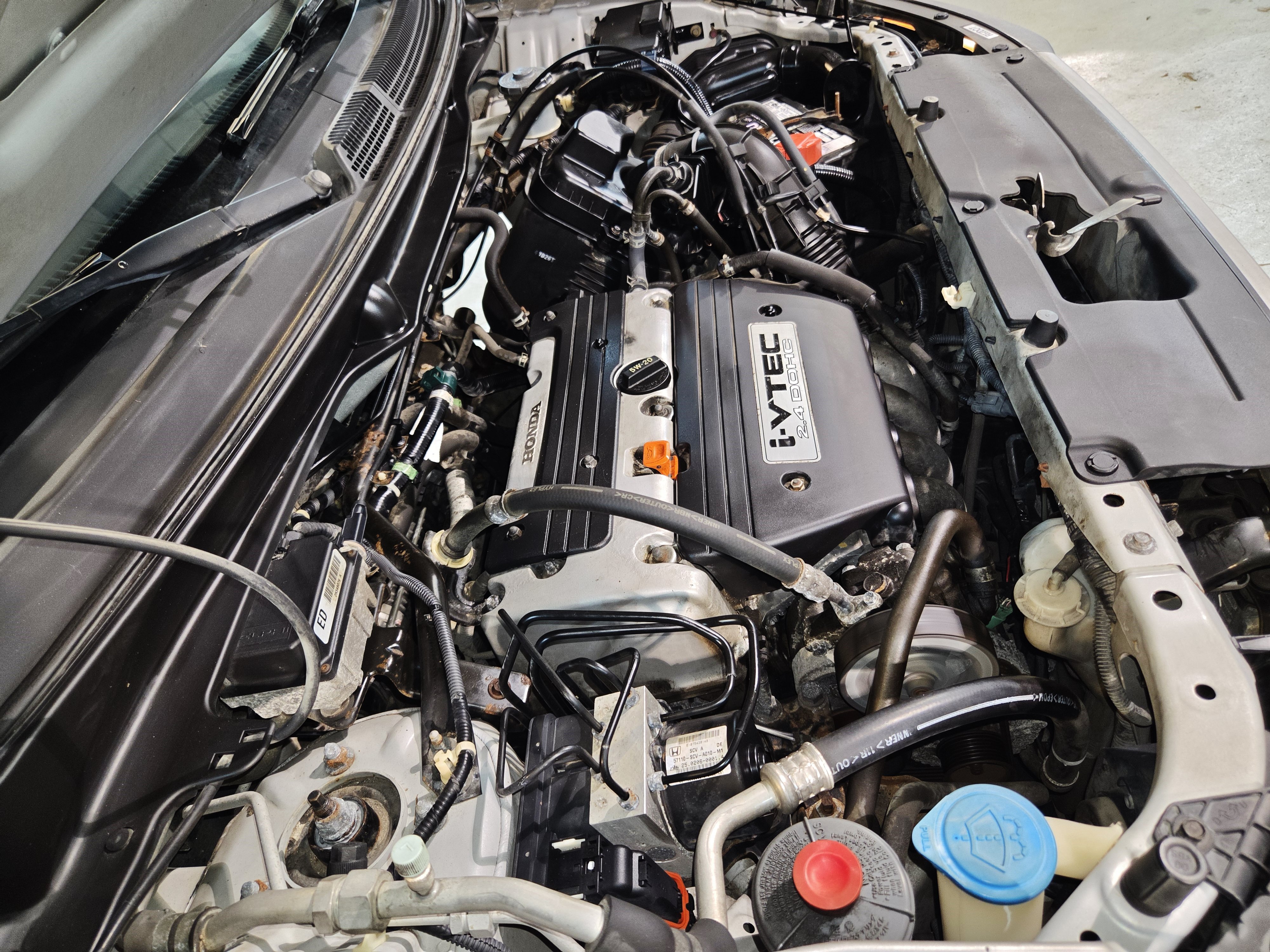 Used 2004 Honda Element EX image 45