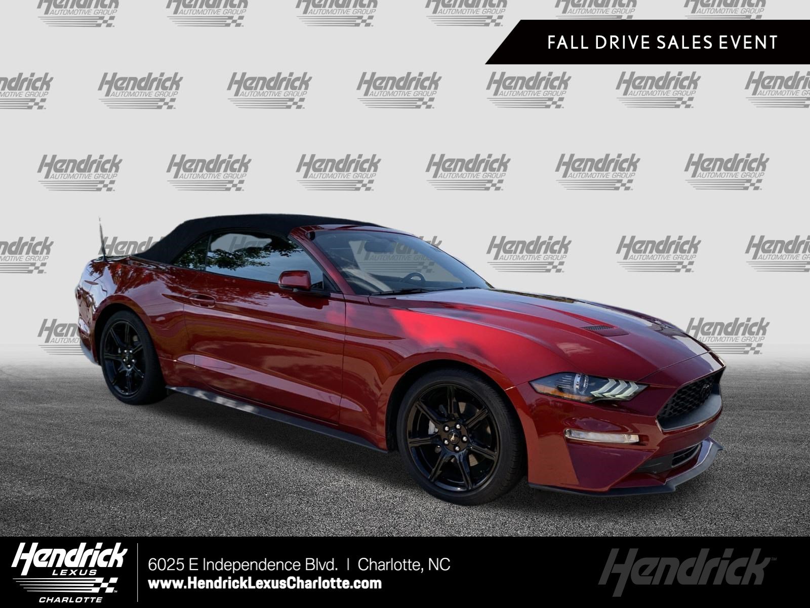 Used 2019 Ford Mustang Premium w/ Equipment Group 201A RWD image 1