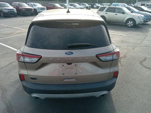 Used 2021 Ford Escape SE w/ Convenience Package image 6