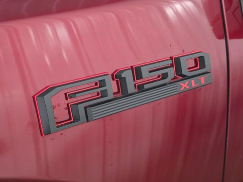 Used 2019 Ford F150 XLT w/ Equipment Group 302A Luxury AWD/4WD image 5