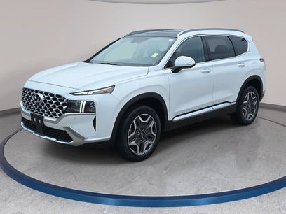 Used 2022 Hyundai Santa Fe Limited w/ Cargo Package